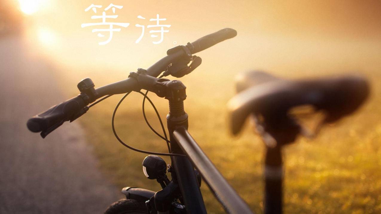 网红商城